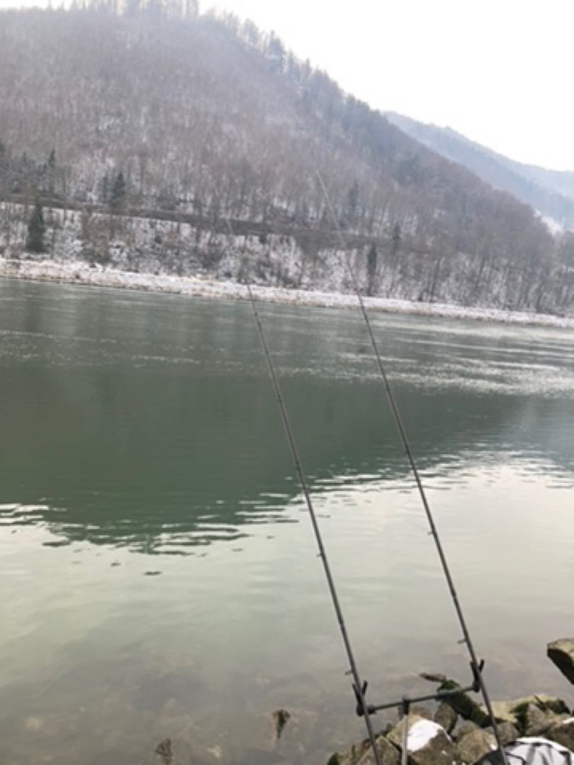 Donau (Jochenstein) angeln