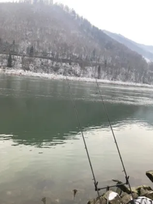 Donau (Jochenstein)