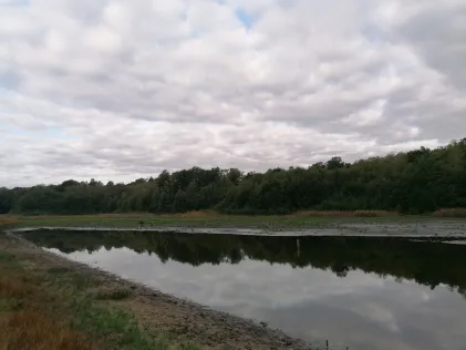 Hungersee