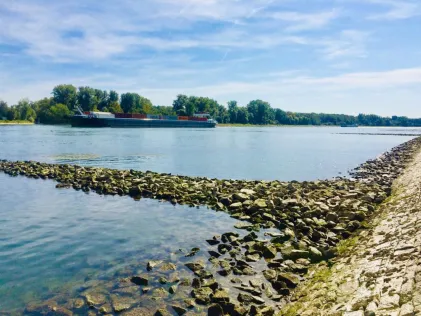 Rhein (Linkenheim-Hochstetten)