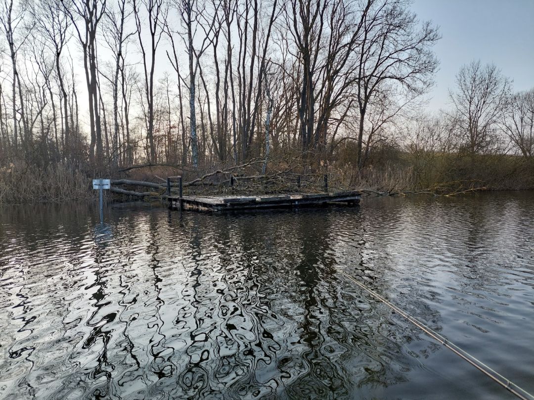 Blankenhöfer See angeln