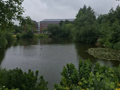 Teich am Hörnbad