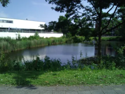 Teich am Hörnbad