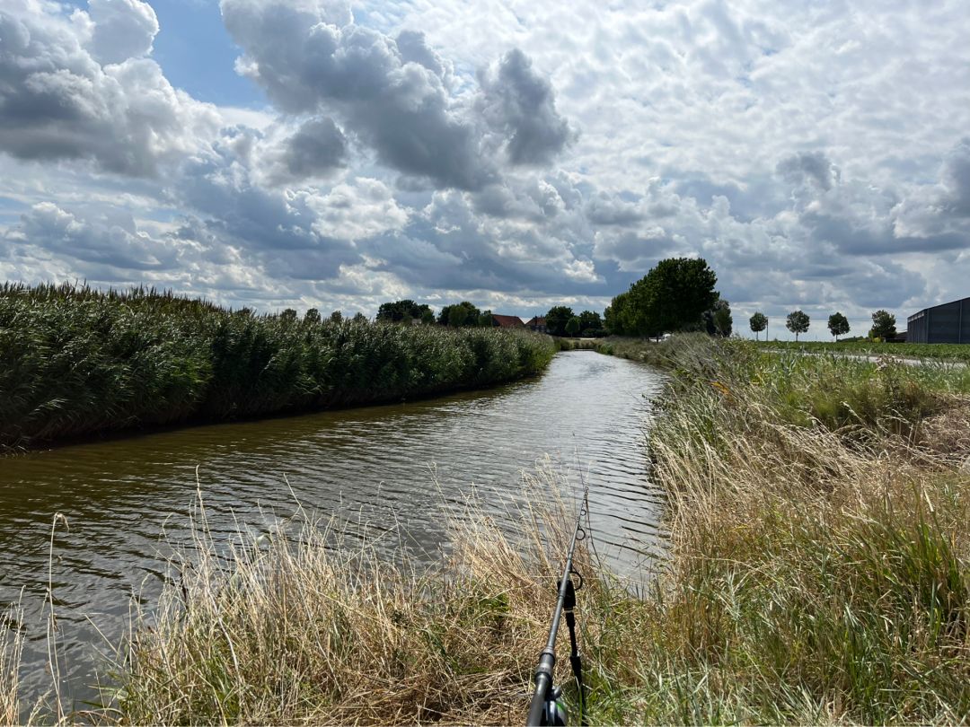 Polder Gistel angeln