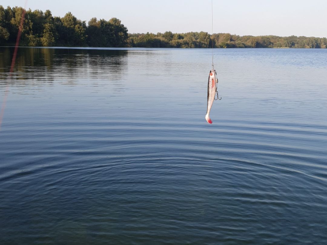 Apeler See angeln