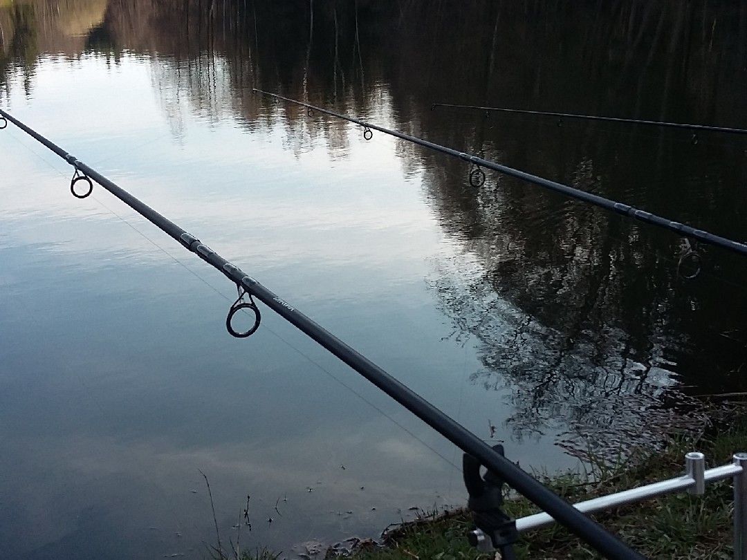 Irfersgrüner Weiher angeln