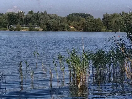 Neuländer See