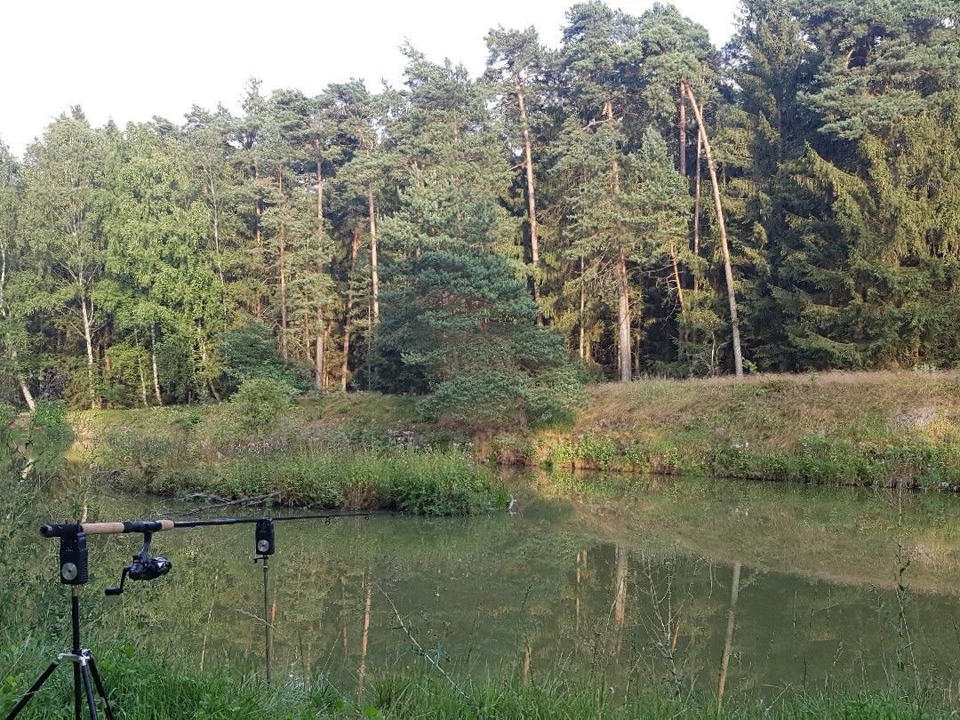 Ungelstetter Weiher angeln