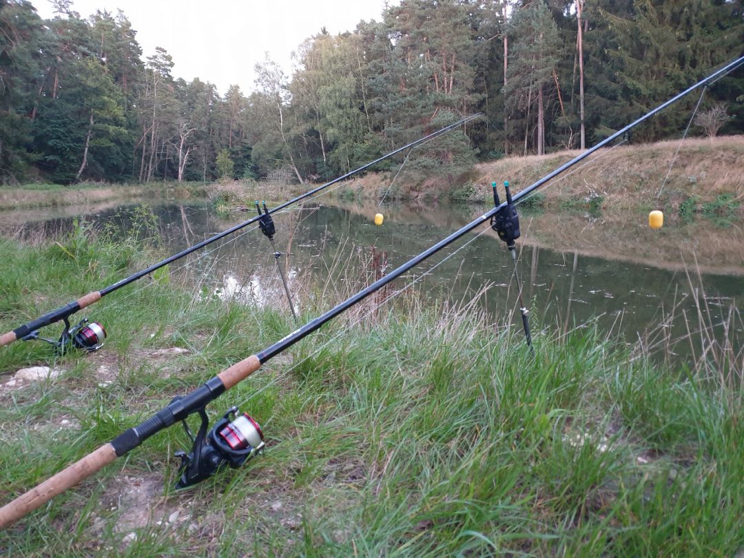 Ungelstetter Weiher angeln