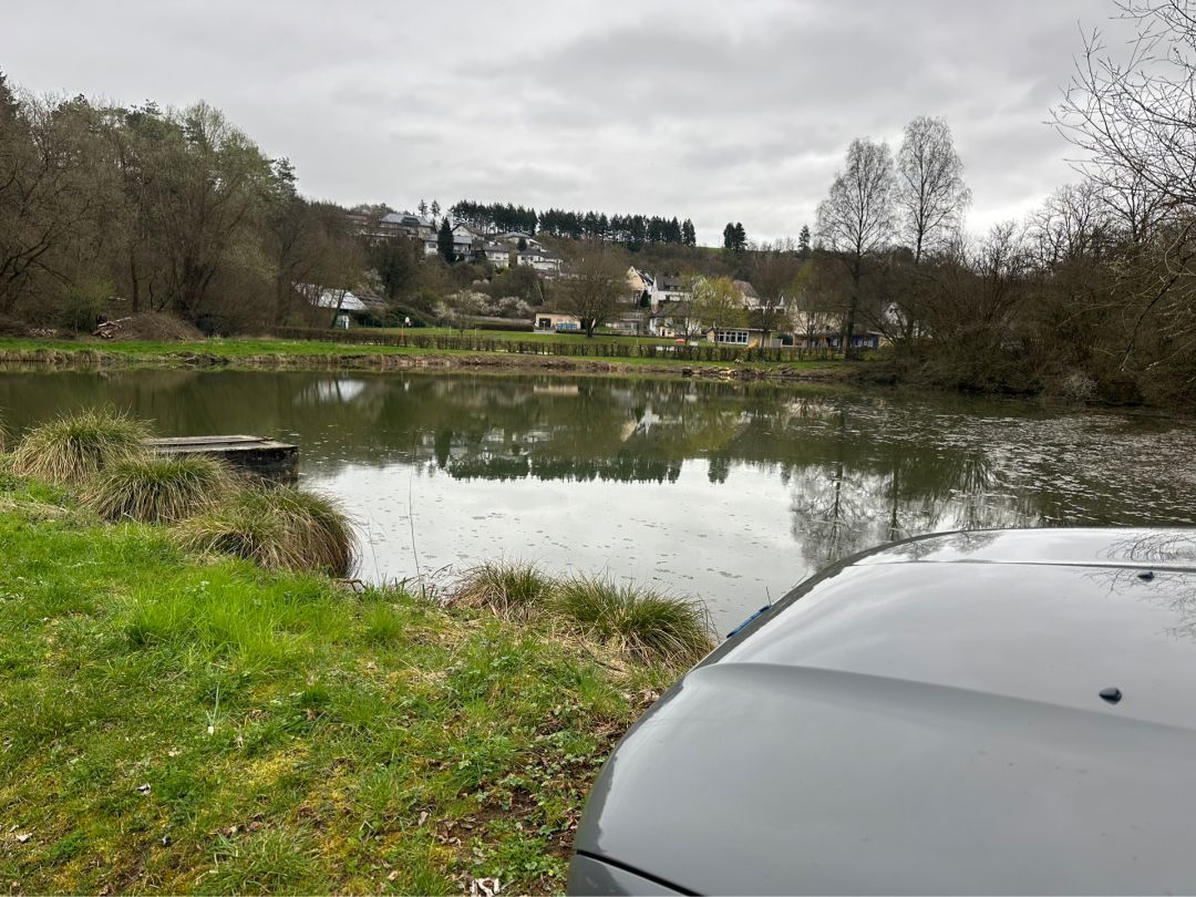 Weinbacher Weiher angeln