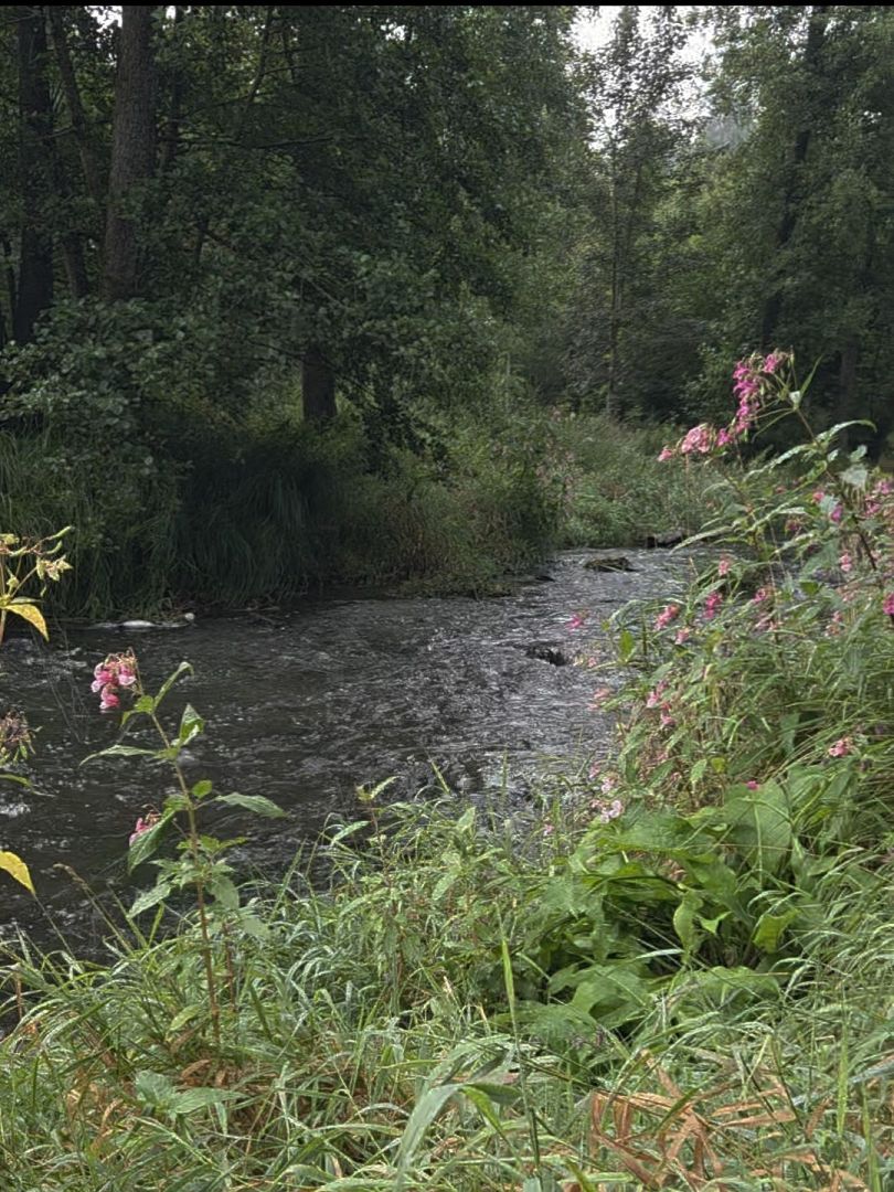 Gaißa (Aicha vorm Wald) angeln