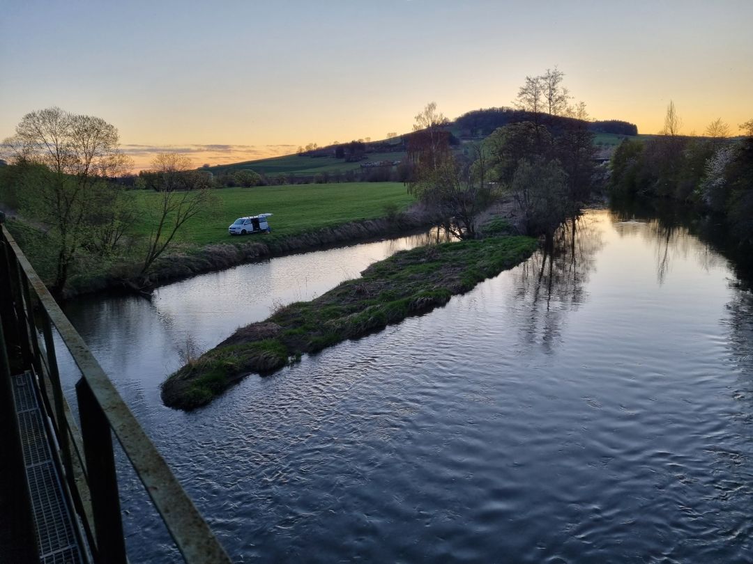 Donau (Geisingen) angeln