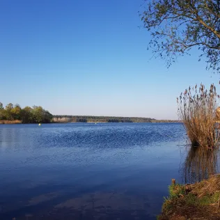 Niegripper See