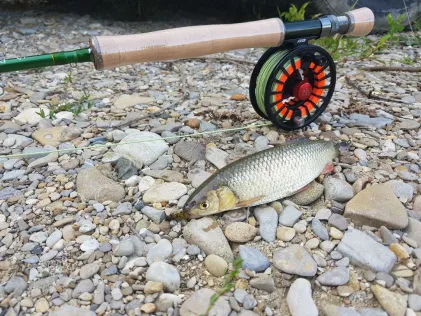 Küstenkanal (Kampe)