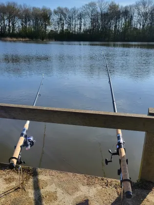 Zwarte Gat