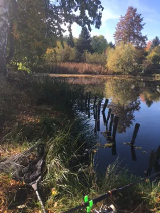 Teich Taupadel