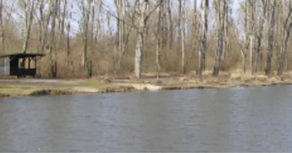 Altrheinsee (Illingen)