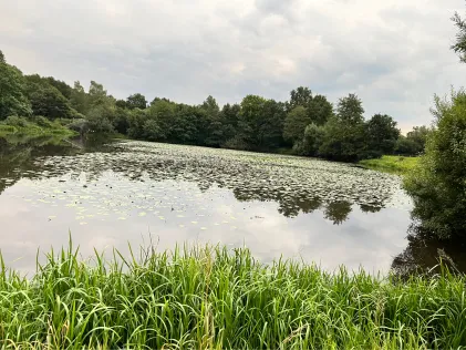 Haaren Rückhaltebecken (Bad Zwischenahn)