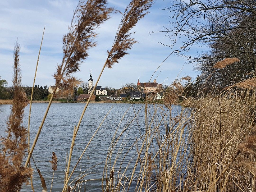 Tiergartenteich Püchau angeln