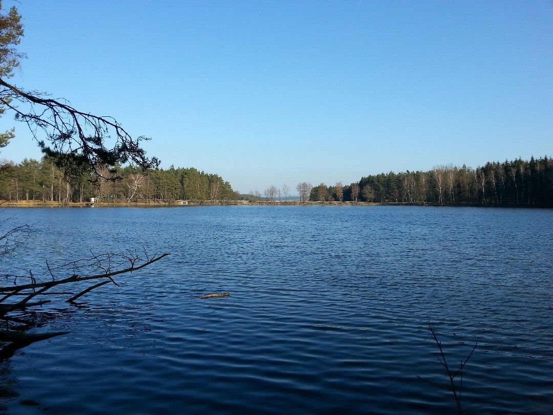 Seidlersreuther Weiher angeln