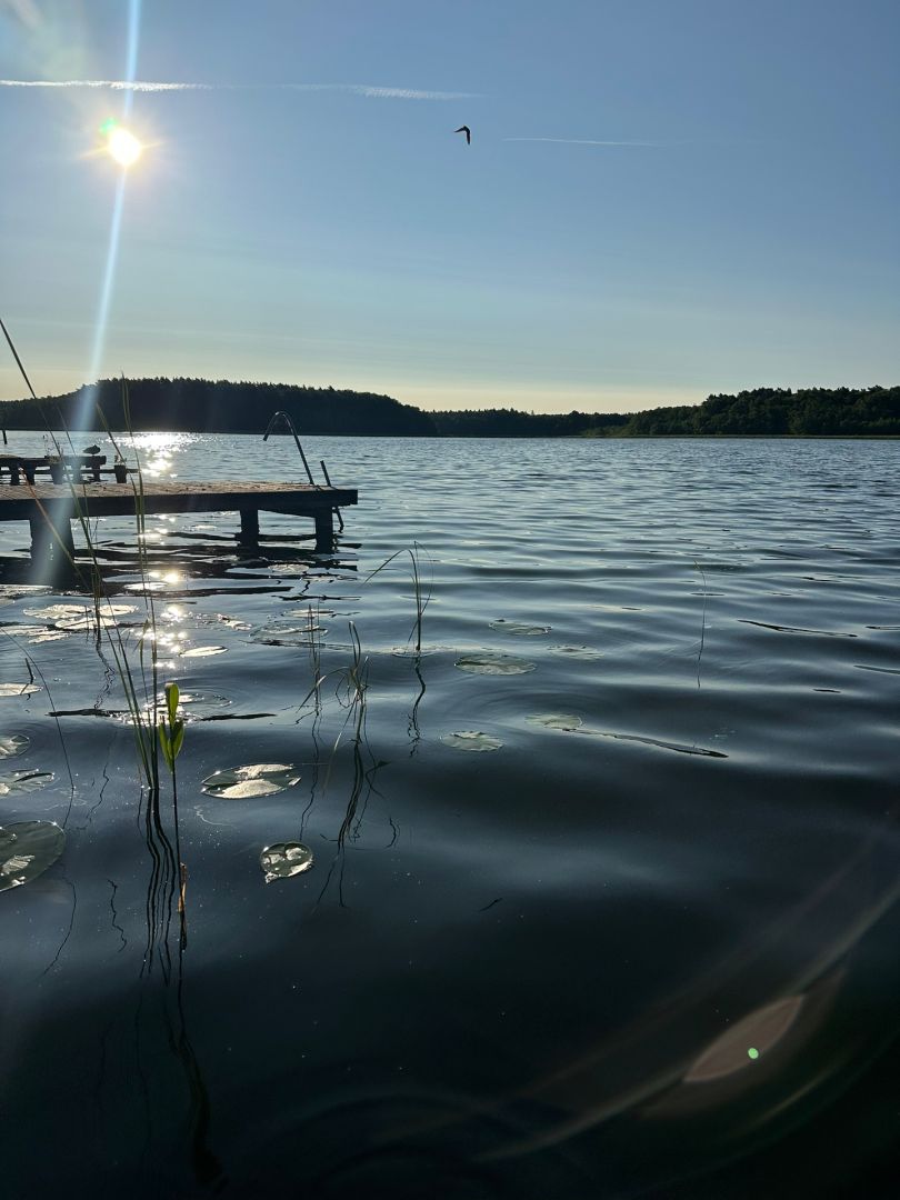 Rätzsee angeln