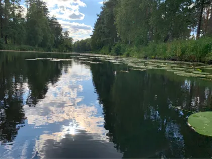 Elde (Neu Göhren)