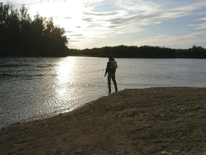 Kuchtui