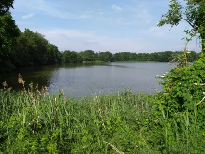 Schlesersee