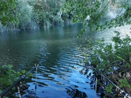 Stiche Mildenberg
