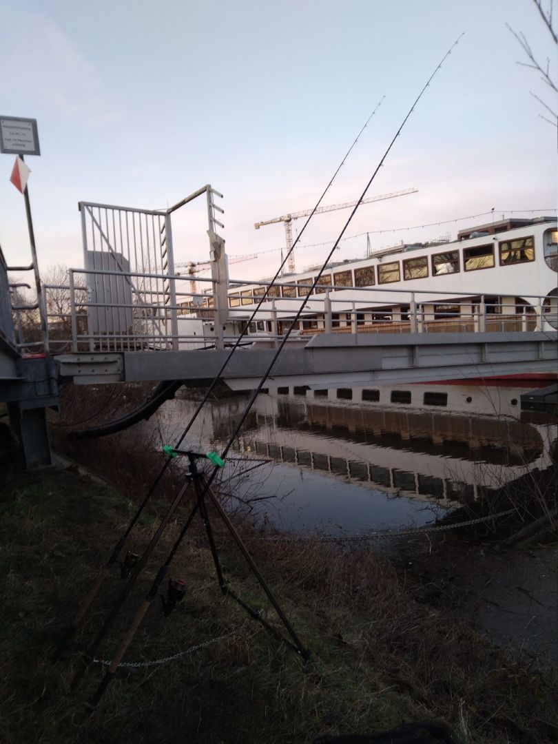 Kartoffelhafen Dresden angeln