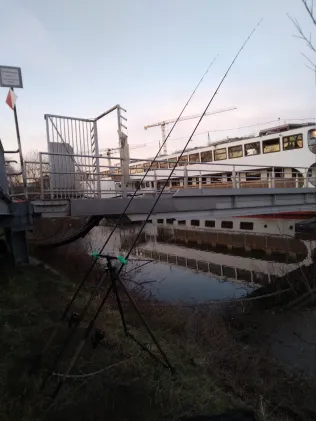 Kartoffelhafen Dresden