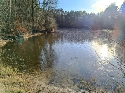 Wachholderteich (Faßberg)