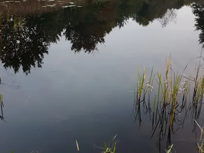 Vereinssee Syke