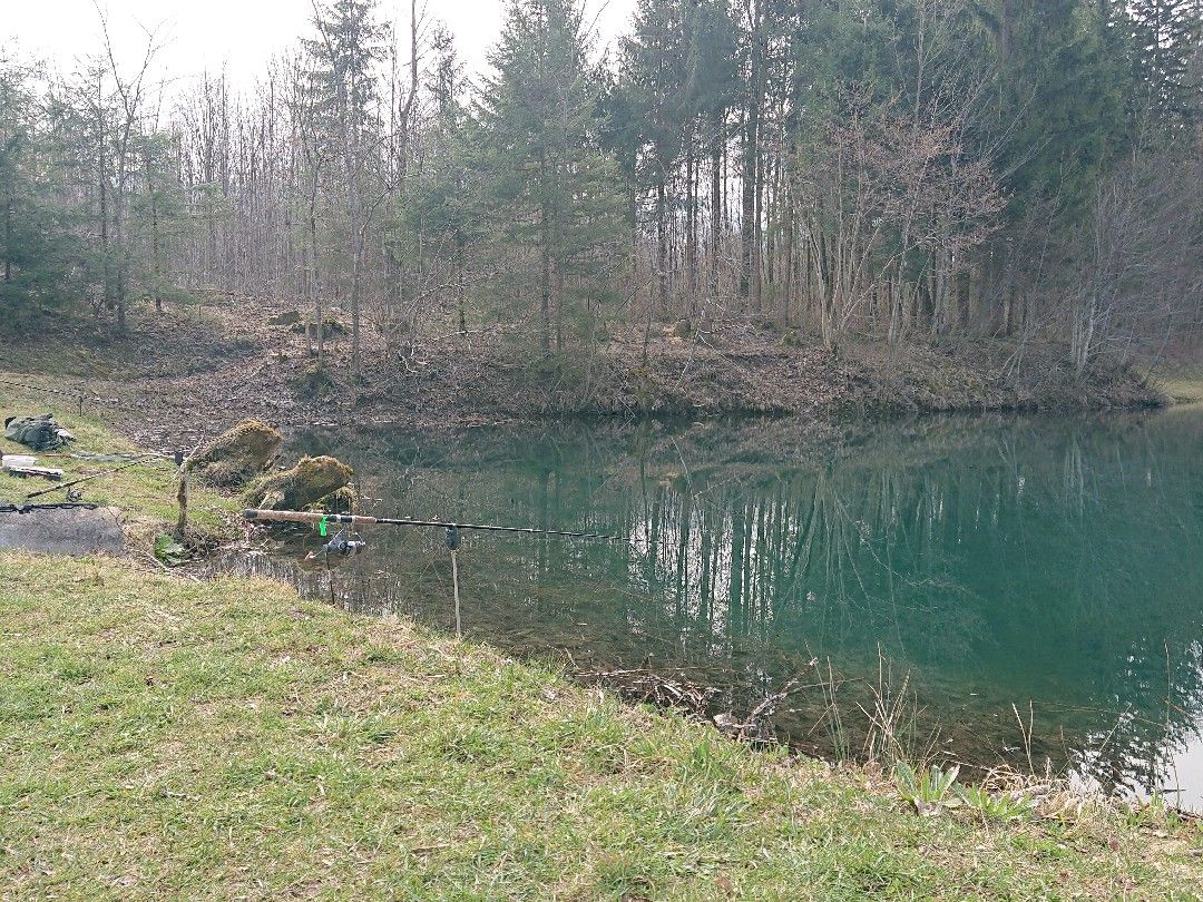 Almfischer Weiher angeln