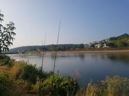 Mosel (Palzem)