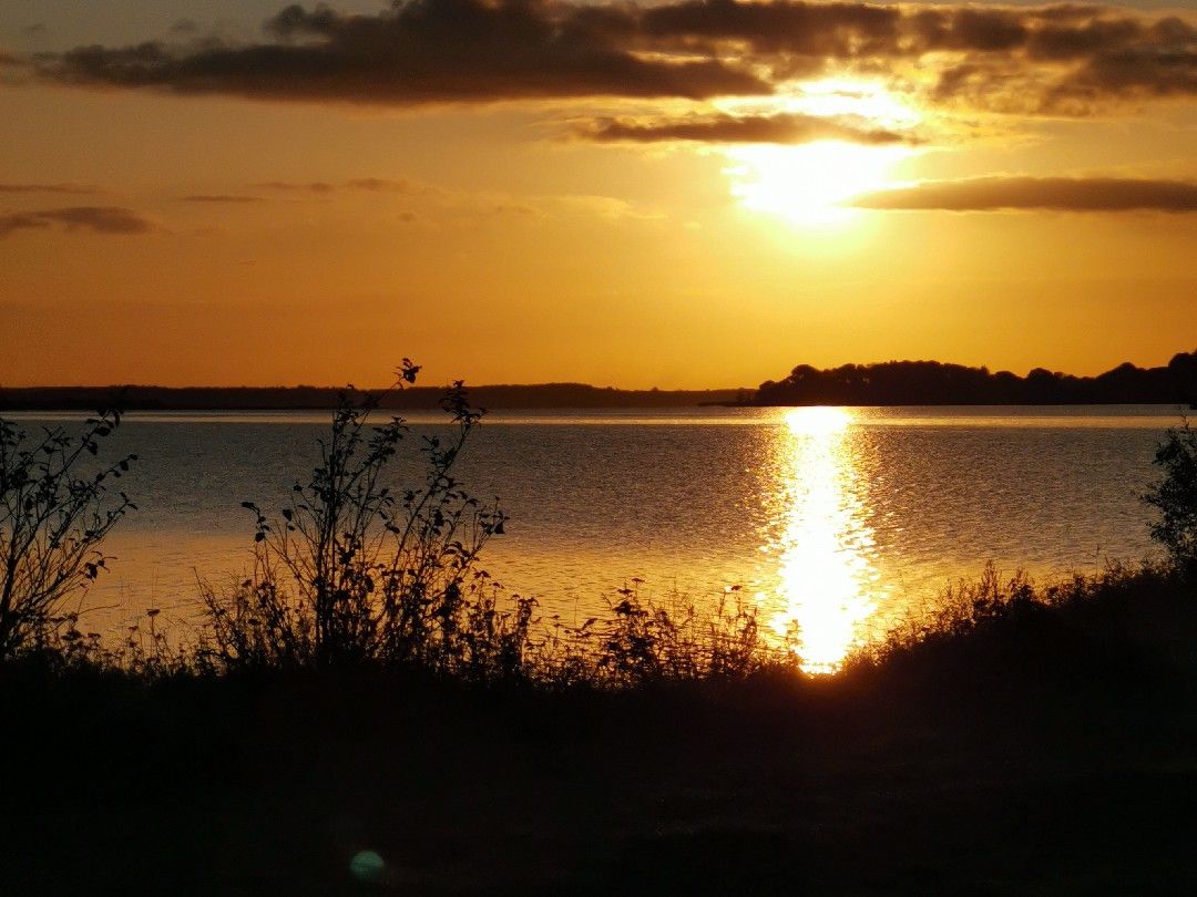 Schlei (Kleine Breite) angeln