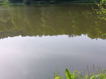 Guckaiseen