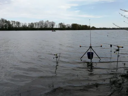 Reeser Meer
