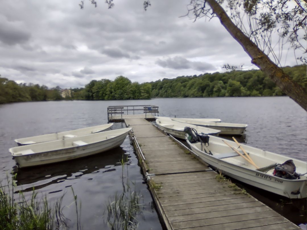 Gyllebo sjö (Gärsnäs) angeln