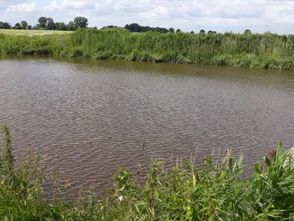 Harle (Wittmund)
