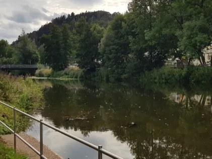 Wied (Waldbreitbach)