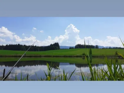 Gagrasweiher (Steingaden)