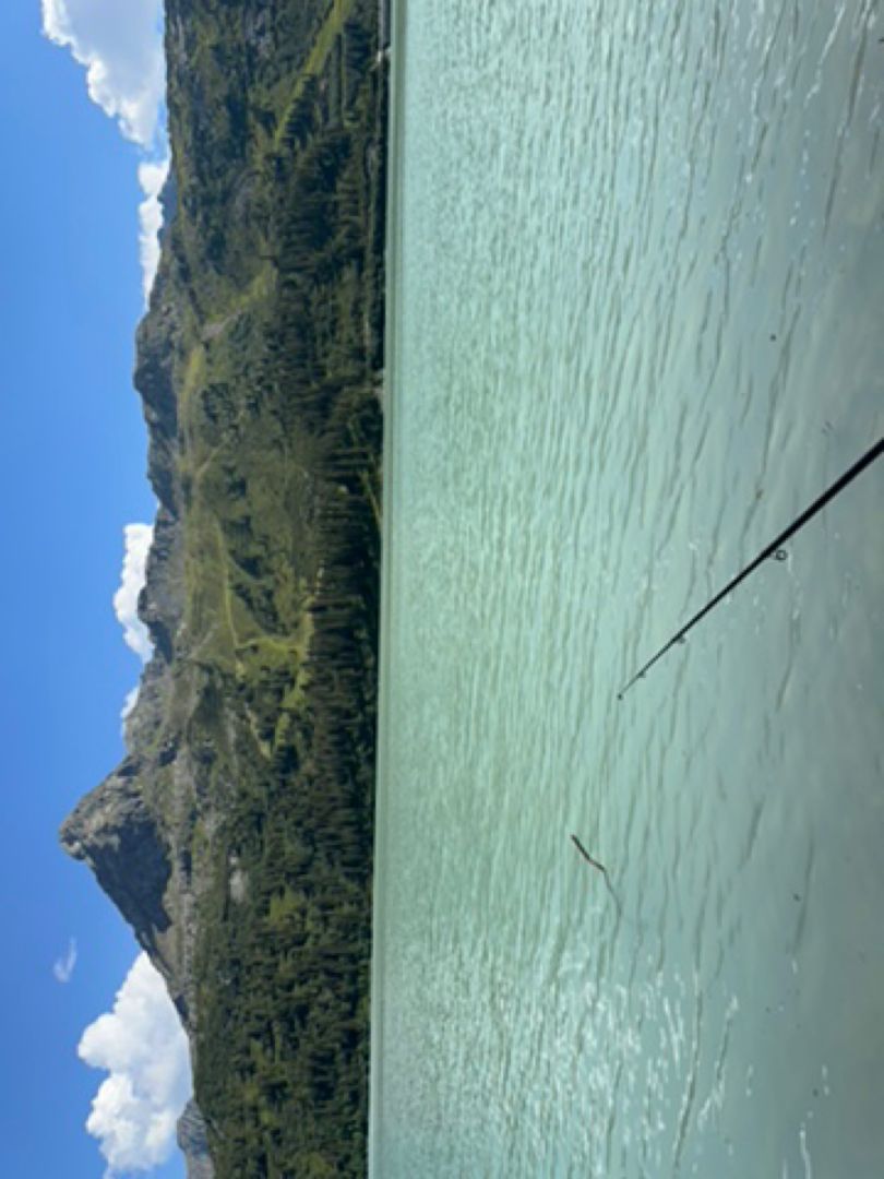 Kops-Stausee angeln