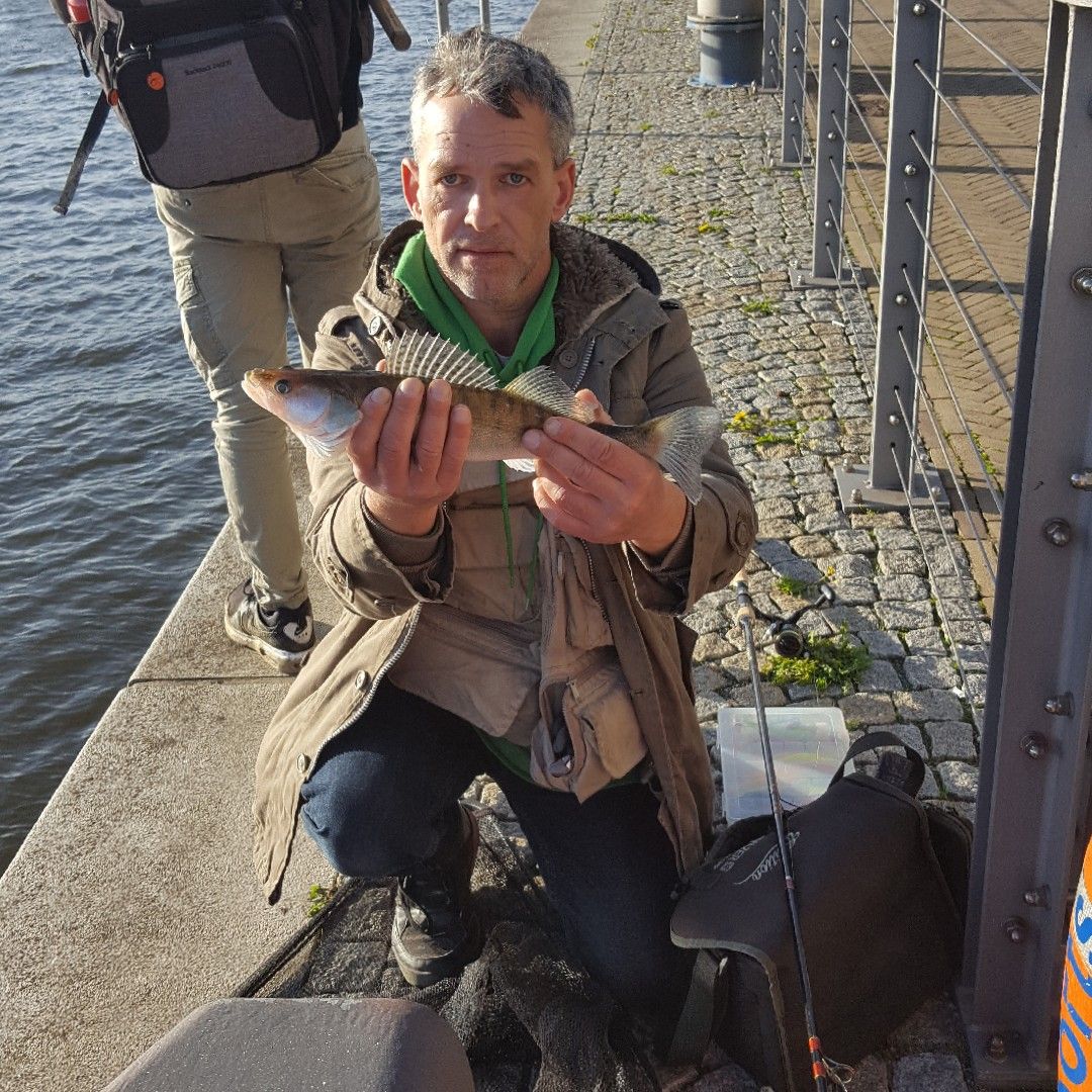 Weser (Bremen-Blumenthal) angeln