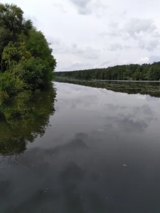 Wriezener Alte Oder (Hohensaaten)