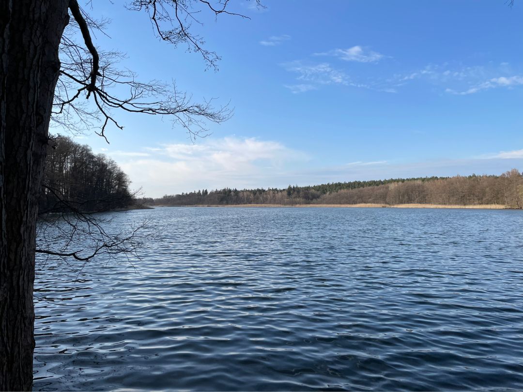 Fährsee (Templin) angeln