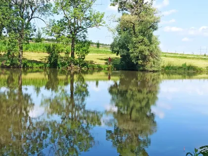 Österöschweiher