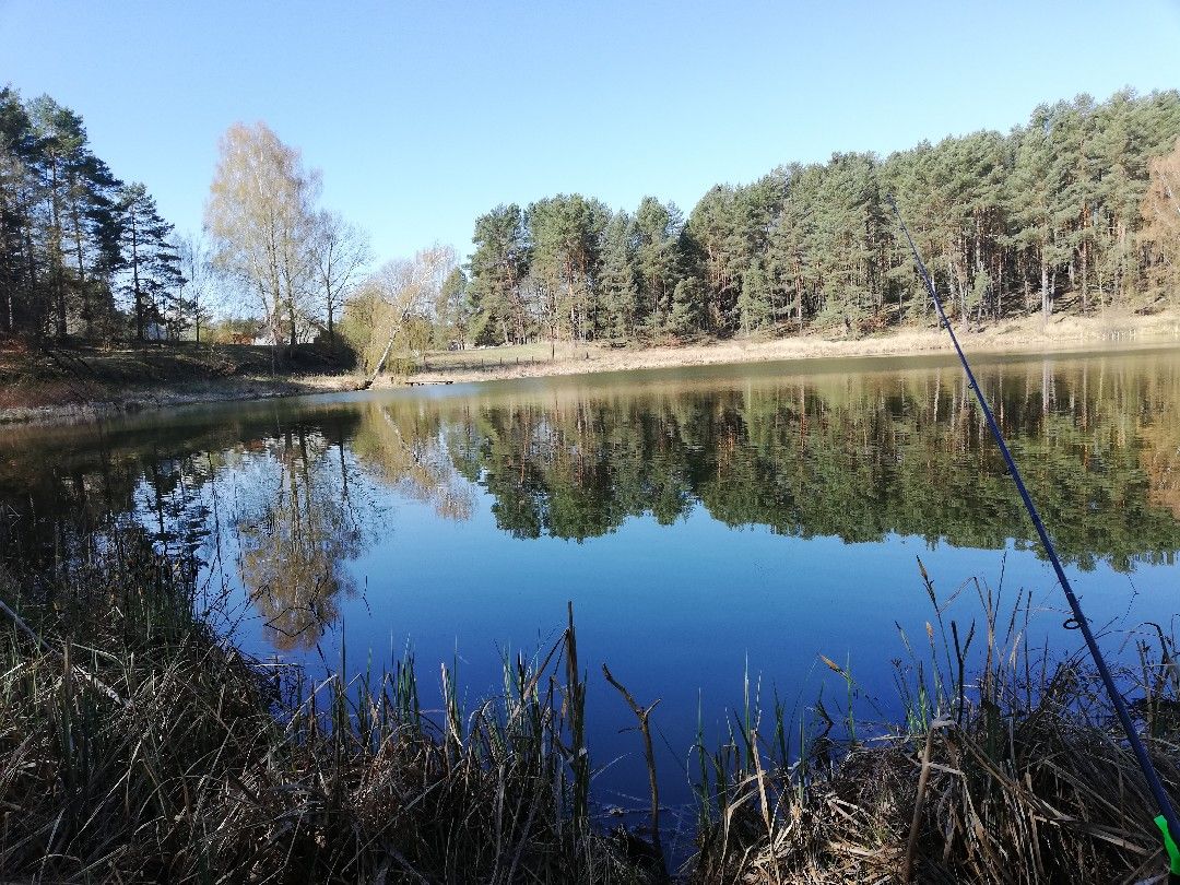 Kleiner Grünplansee angeln