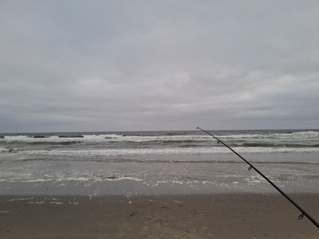Nordsee (Texel) angeln