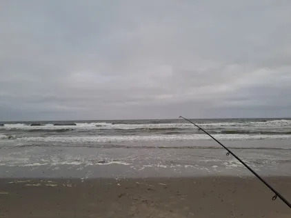 Nordsee (Texel)